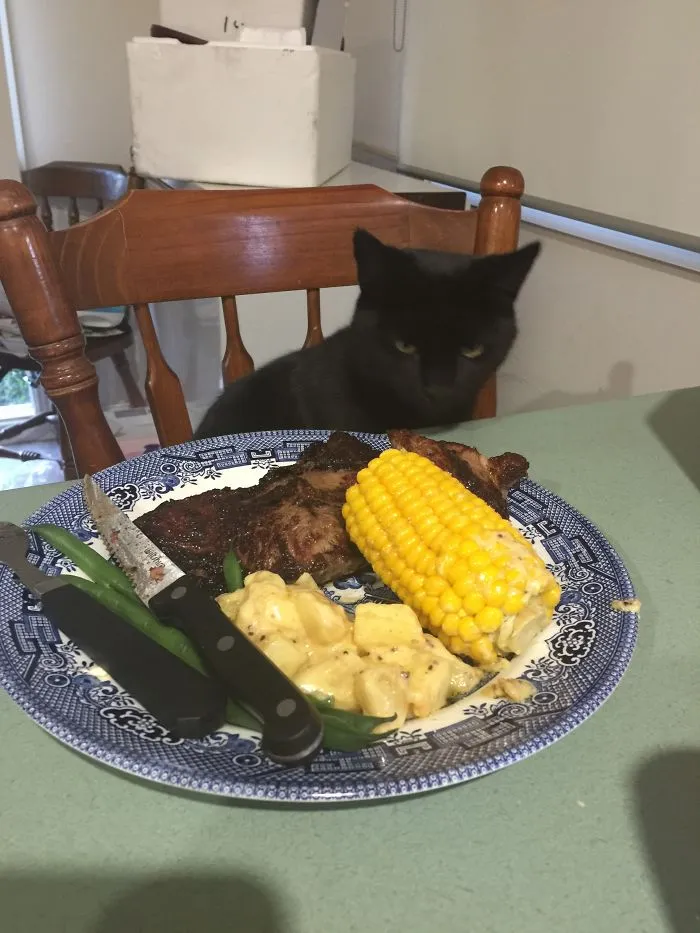 Apparently This Is Her Tea, Queen Of The House 💜