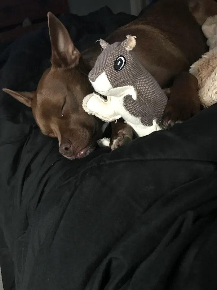 Loves Squirrels ❤️