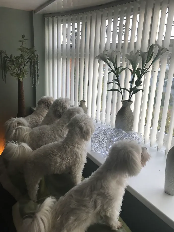 Neighbourhood Watch!