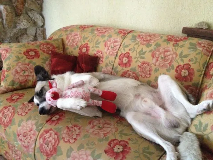 He Loved His Christmas Present So Much!