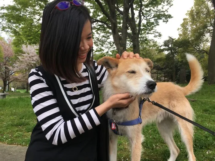 Dogs Are Deserving Be Loved