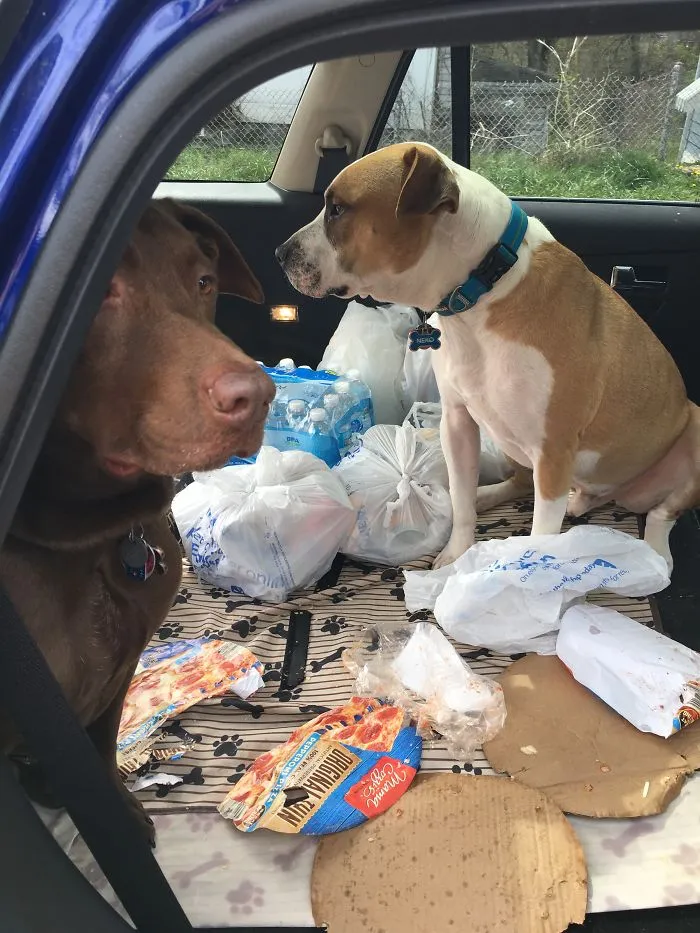 Tailgate Party