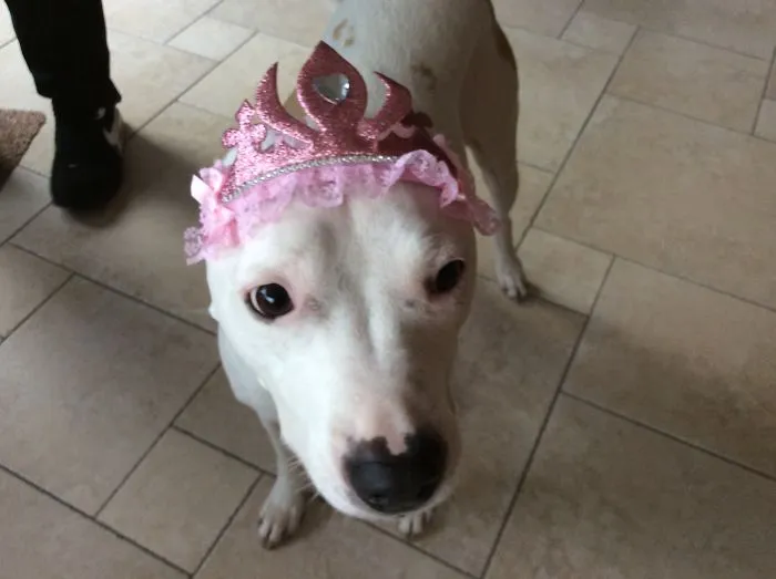 Our Birthday Girl