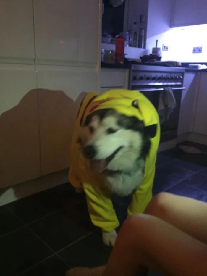 Our Girl Luna Dressed As Pickachu!