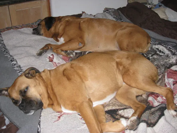 Sleepy Sweeties!