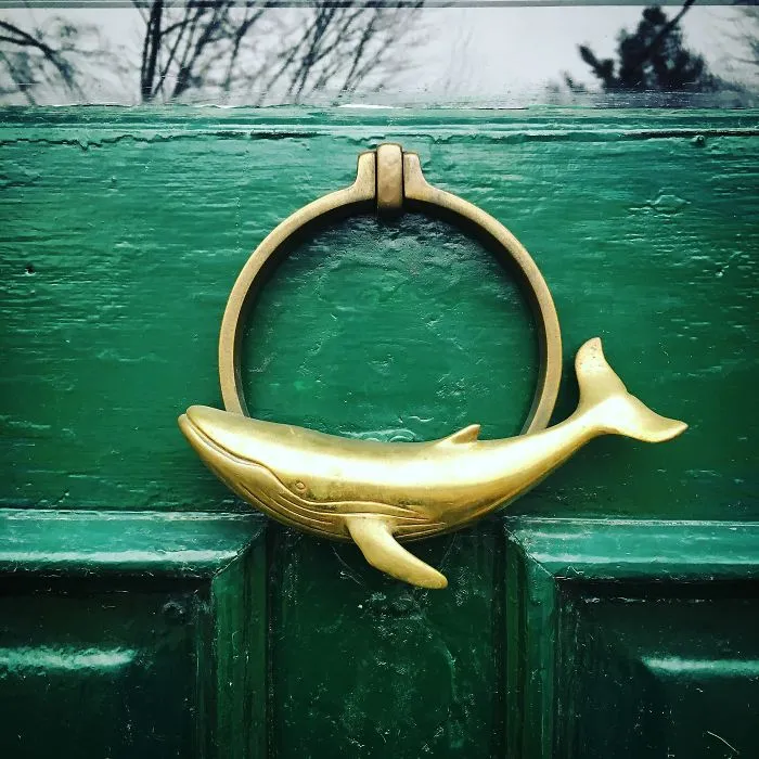 I'm Slightly Obsessed With Knockers