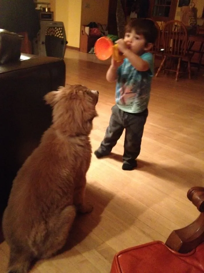 Tucker As A Pup Patiently Listening To My Nephew Play His Toy Trumpet ❤️