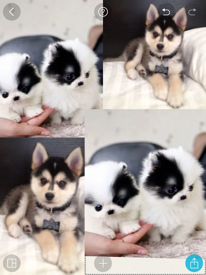 I Need One