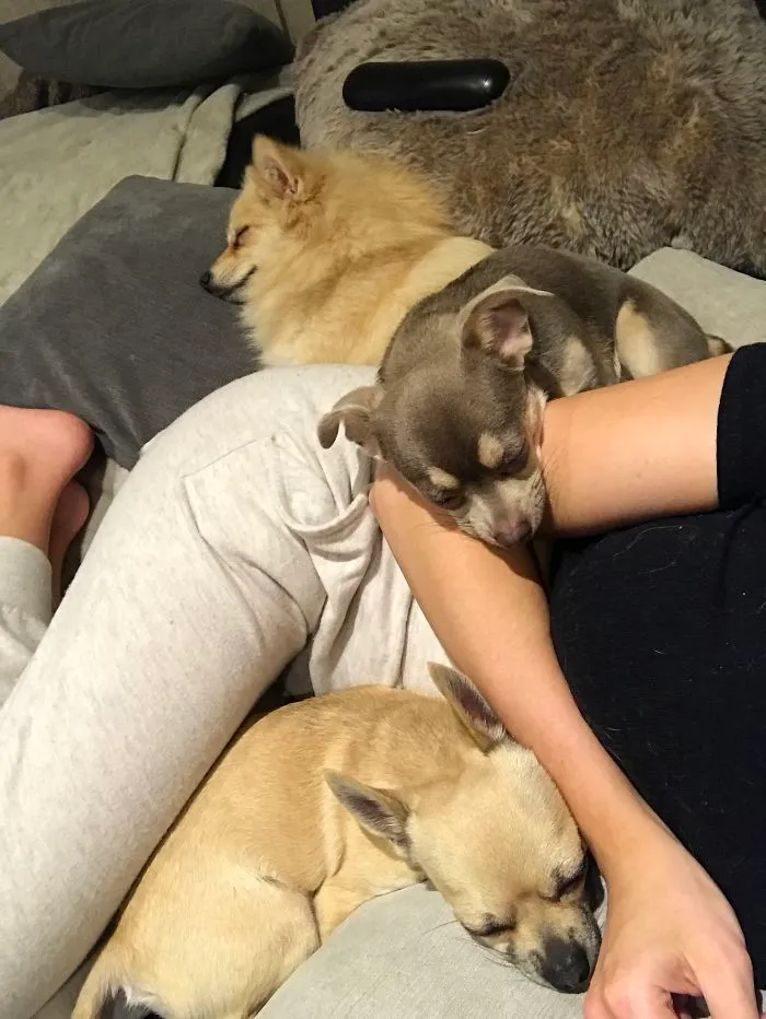 This Is My Life Now