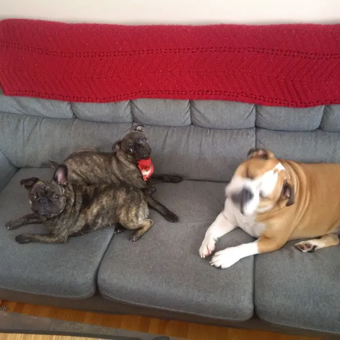 My 3 Bums!