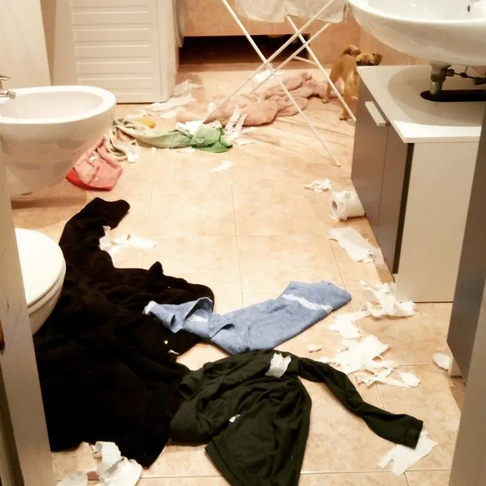 Roxy The Destroyer