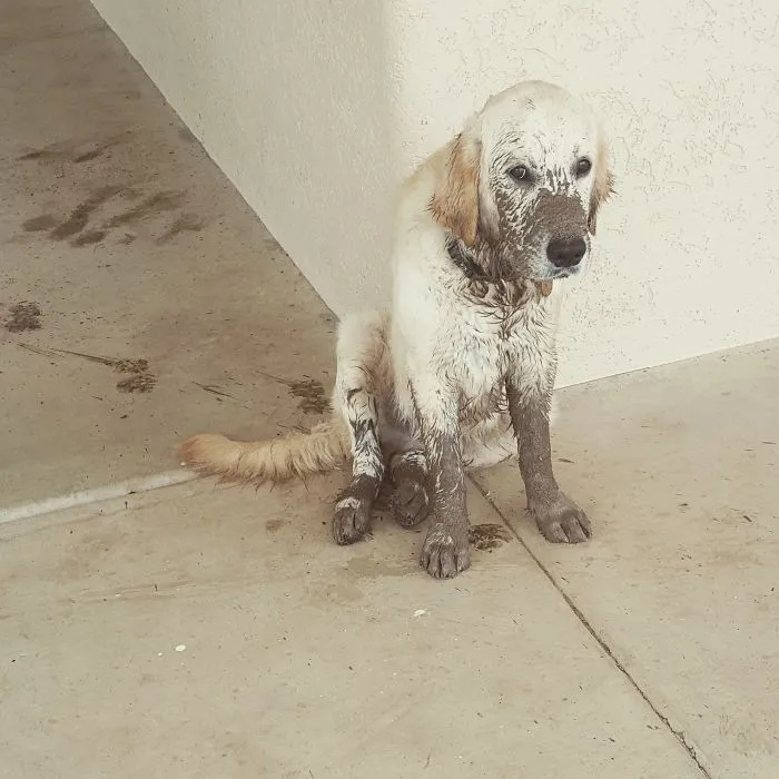 Left Him Alone For 5 Minutes..