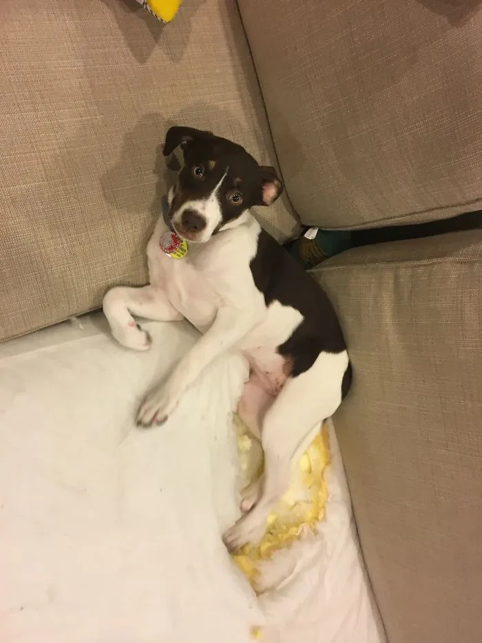 She Thought That If She Sat In The Hole She Made, I Wouldn't Be Able To Tell.