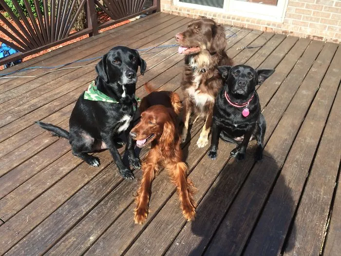 Best Family Picture In Years