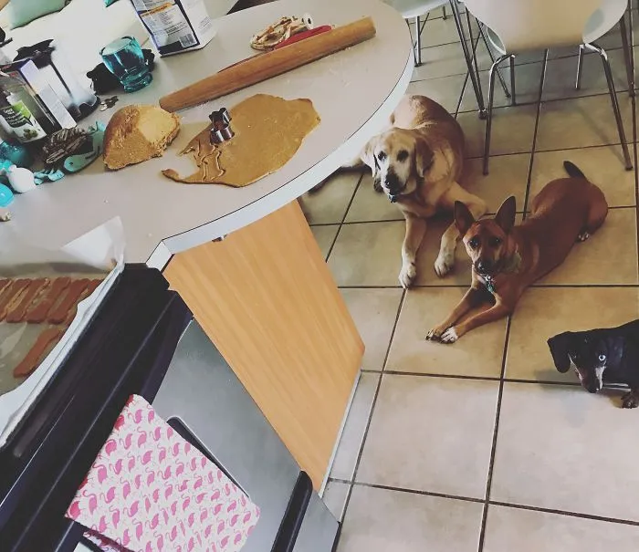Cookie Monsters