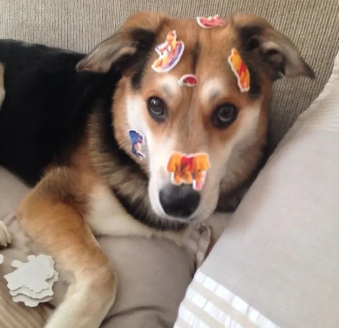 Stickers!
