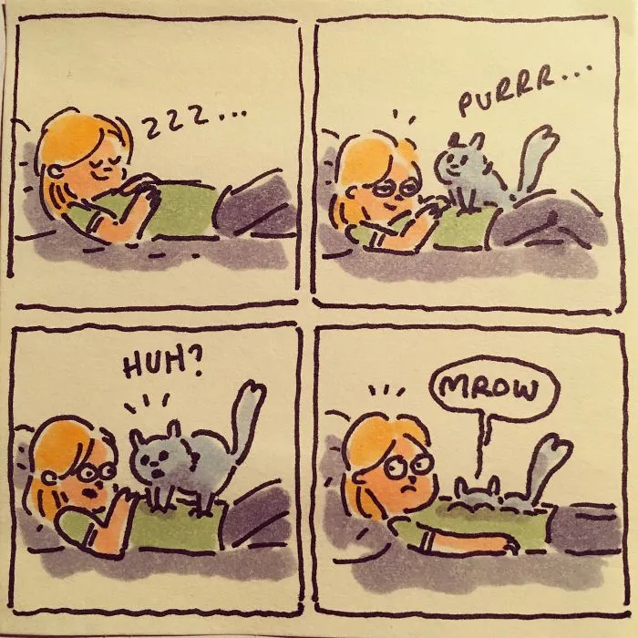 I Capture What It's Like Living With My Cats