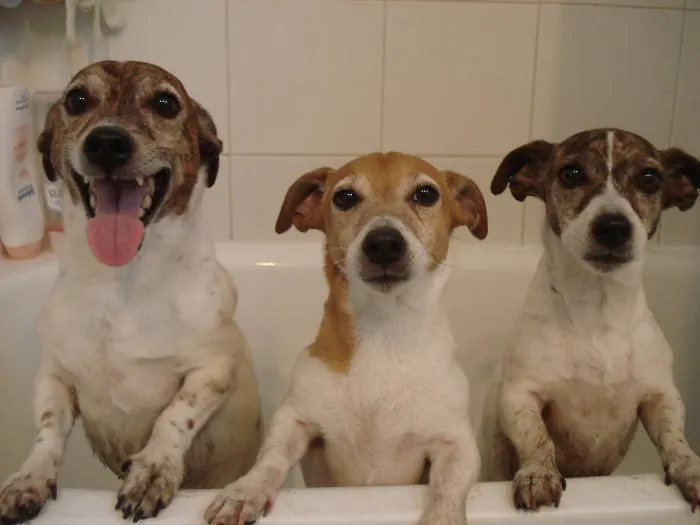 My Naughty Children!