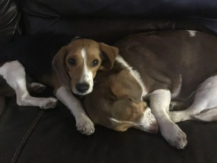 5 More Minutes?