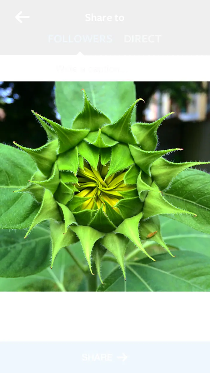 Opening Up To The World