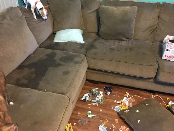 Oh Shit! The Living Room Exploded While You Were Gone