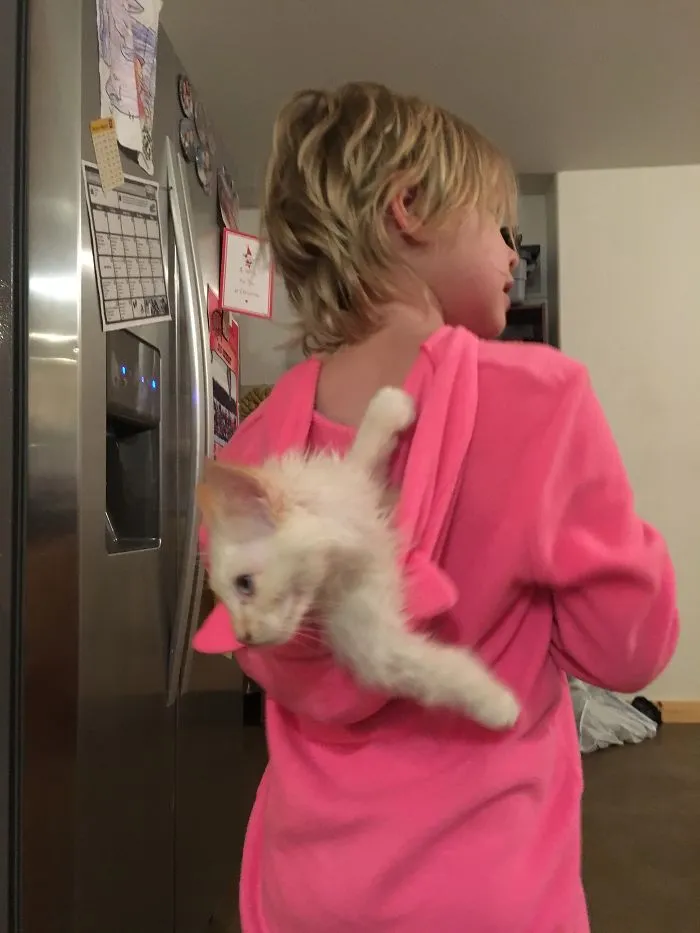 She Had To Much To Carry And Didn't Want To Put The Cat Down Lol