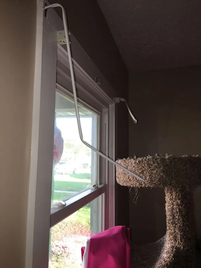 Curtains? Who Needs Them Anyways.