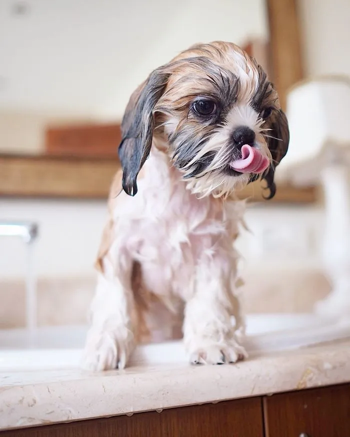 Morning Bath :)