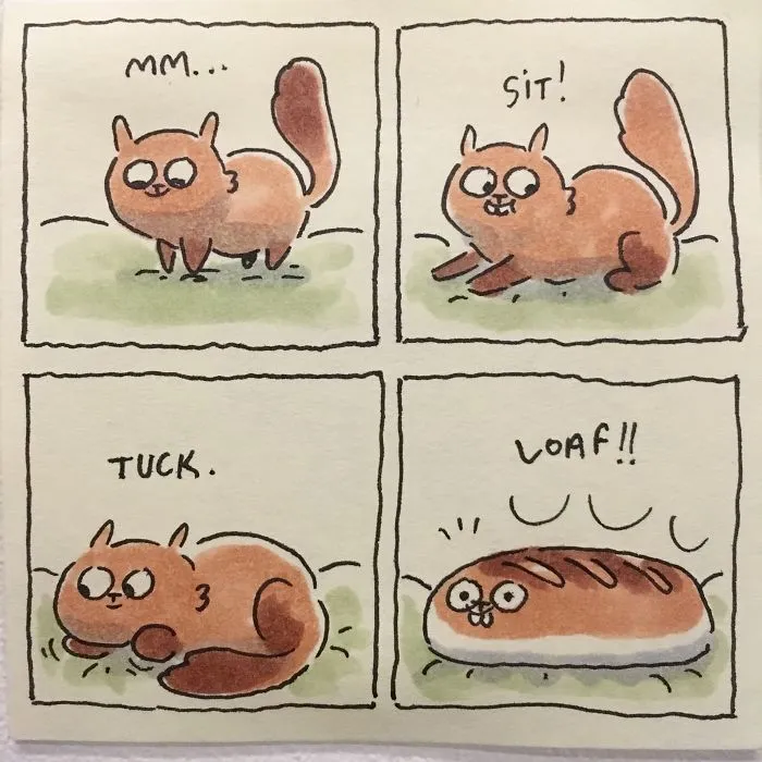 I Capture What It's Like Living With My Cats