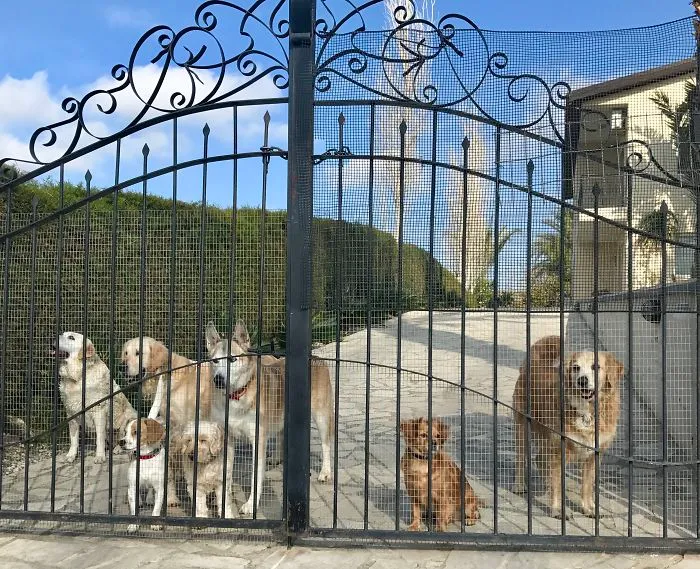 Welcome Home