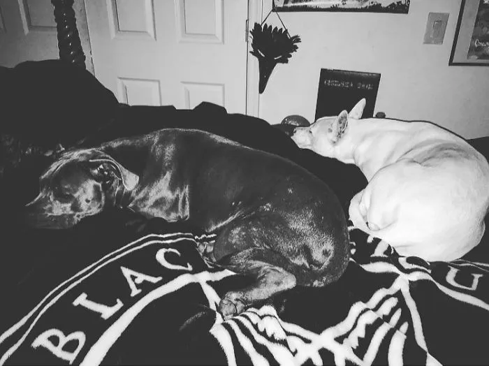 Yes, This Used To Be My Bed