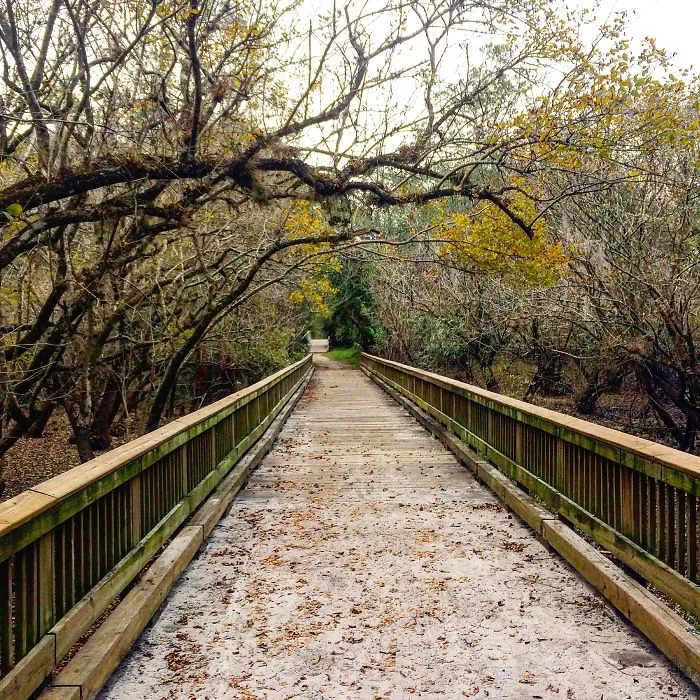 The Path Less Traveled