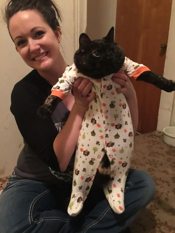 Spicegirl The Cat Is Ready For A Sleepover!