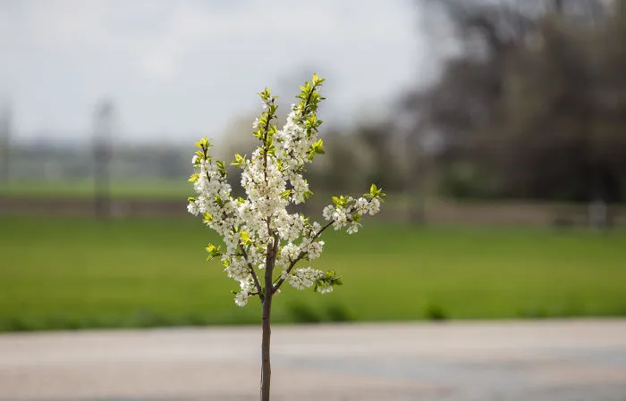This Spring In South Moravia Got Me Completely!