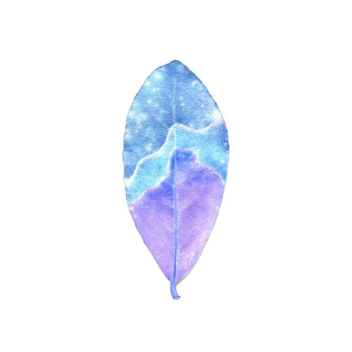 I Found Beauty And Simplicity In Single Leave