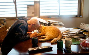 I Got A Cat For My Sick And Grumpy Grandpa, And He Turned His Life Upside Down