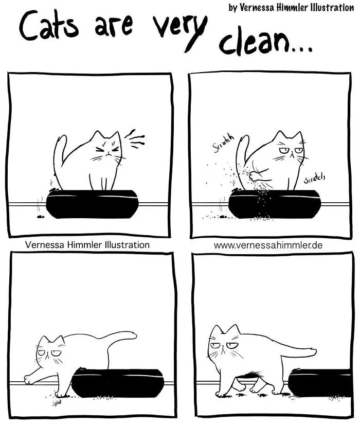 My Diary Comics About My Life With Two Cheeky Cats