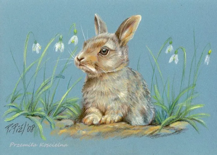 Spring Bunny