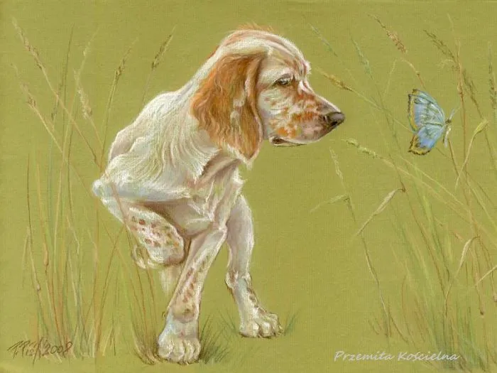 Spring Time! English Setter Puppy