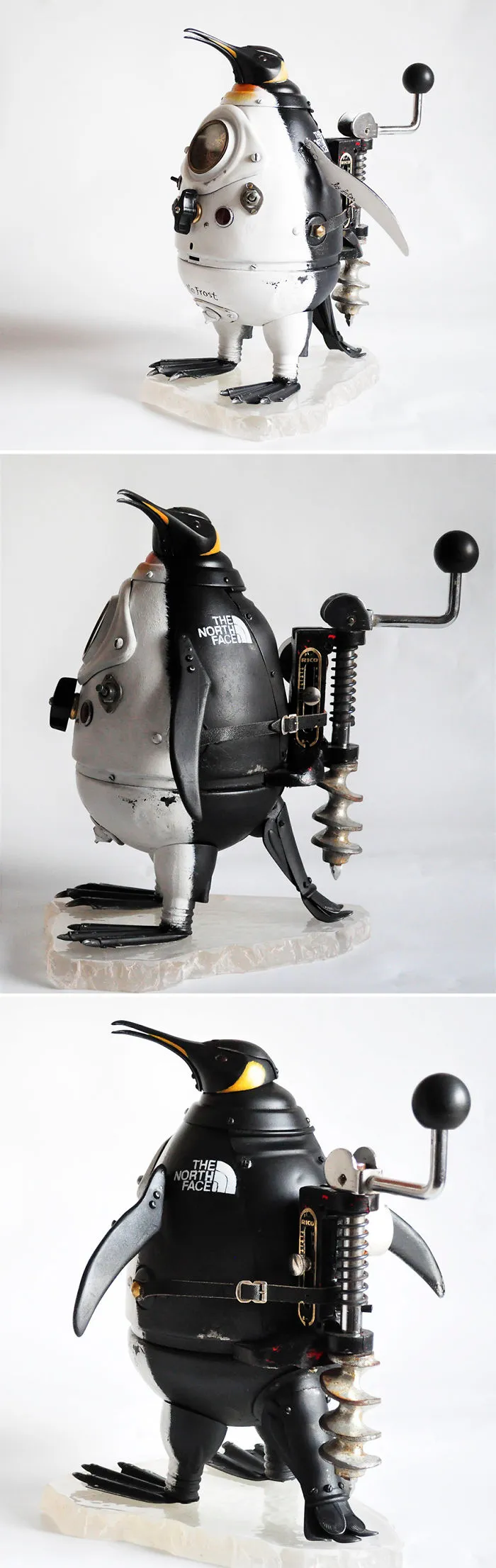 Royal Penguin