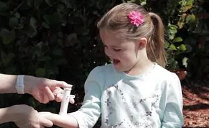 Award Winning Bug Bite Thing Suction Tool Stops The Pain And Itch From Insect Bites Fast And Effectively
