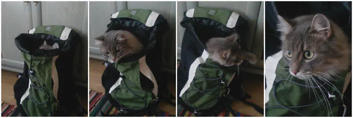 Your Carry-on Fits Only Me...and Maybe Some Tasty Treats
