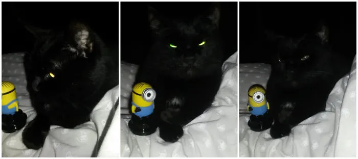 You Are My Minion!