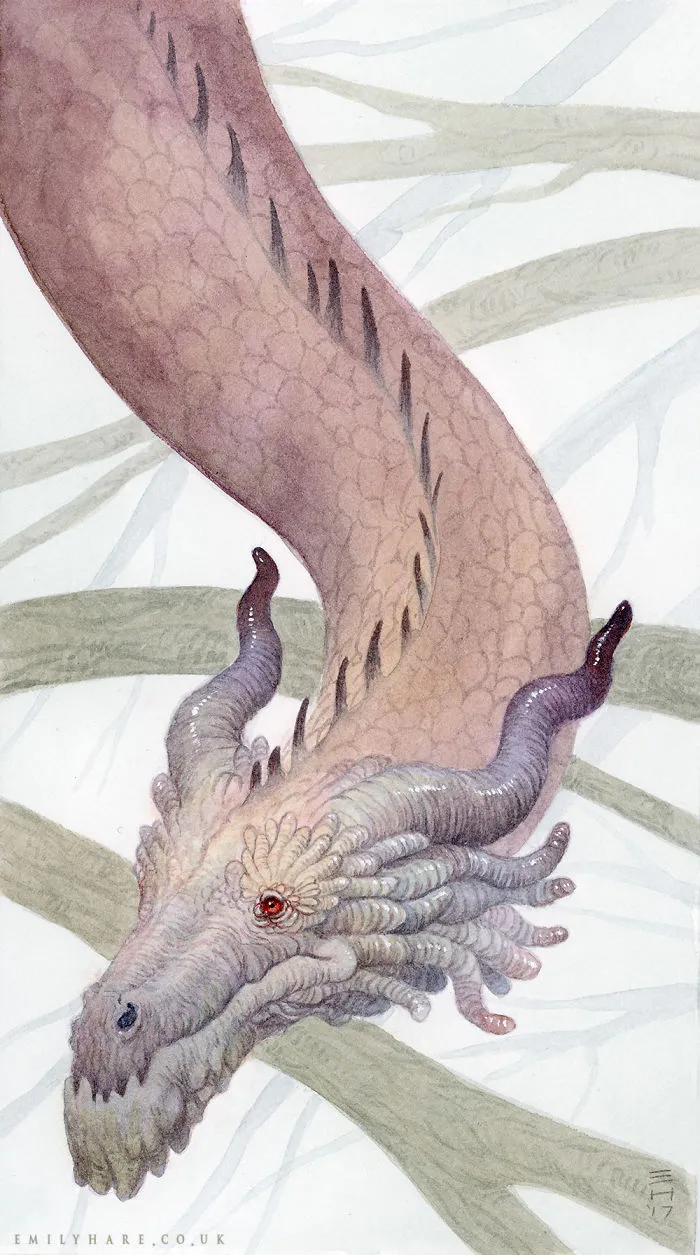 Purple-horned Drake