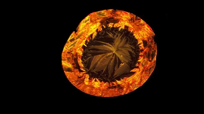 The Microscopic Beauty Of Growing Crystals