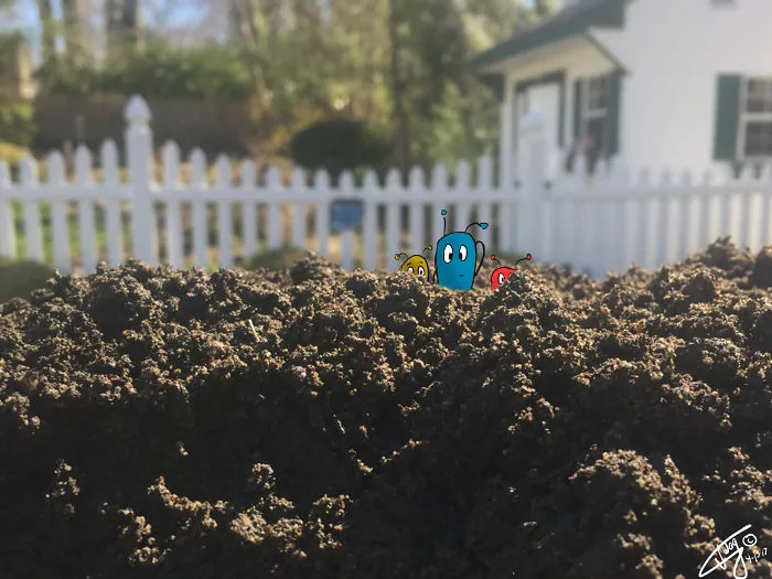 Topsoil Mt.