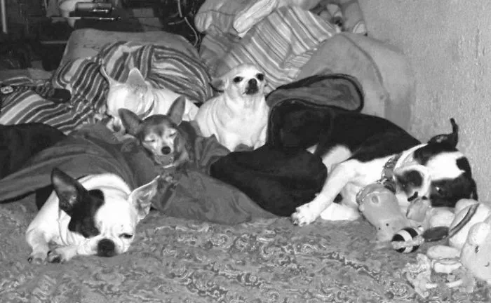 Ready To Snuggle