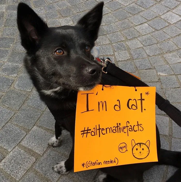52 Dogs Who Marched For Science, And Totally Saved The World