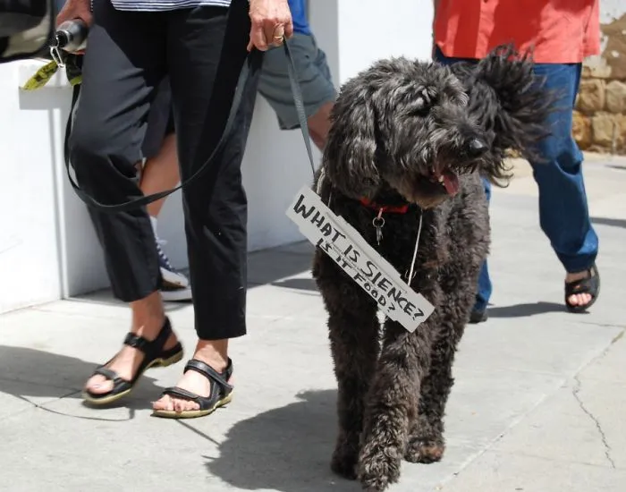 52 Dogs Who Marched For Science, And Totally Saved The World