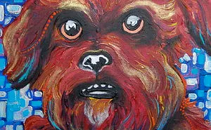 I Show My Love For Dogs By Painting Their Colorful Portraits